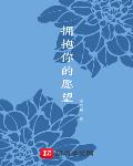 peterle 飞机视频