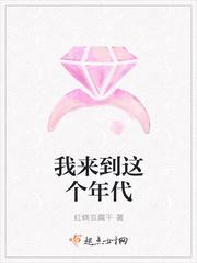 新红楼梦2024