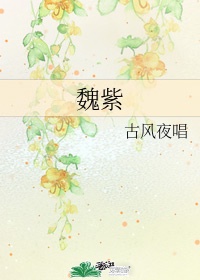 伸进丫鬟肚兜揉捏她的乳尖