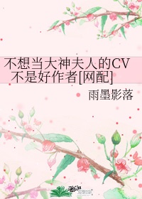 新雾里人生全文免费阅读