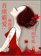 兵王传奇苏锐