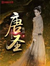 公园之夜小说