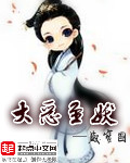中国最贵的龟排名