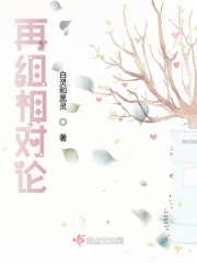 2024破解付费直播盒