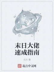 孽债小说
