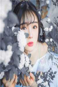 澳门彩网金牛版2024年
