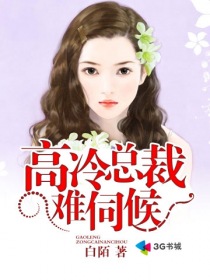 波多野结衣厨房激战