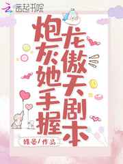seo短视频网页入口引流