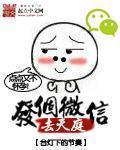 龙婿叶辰说