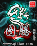 一错到底免费阅读