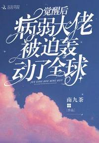 日本gv公司