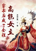 皮城执法官视频