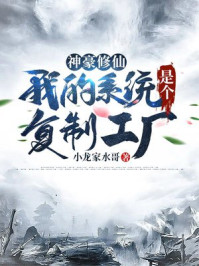 山景王四微盘