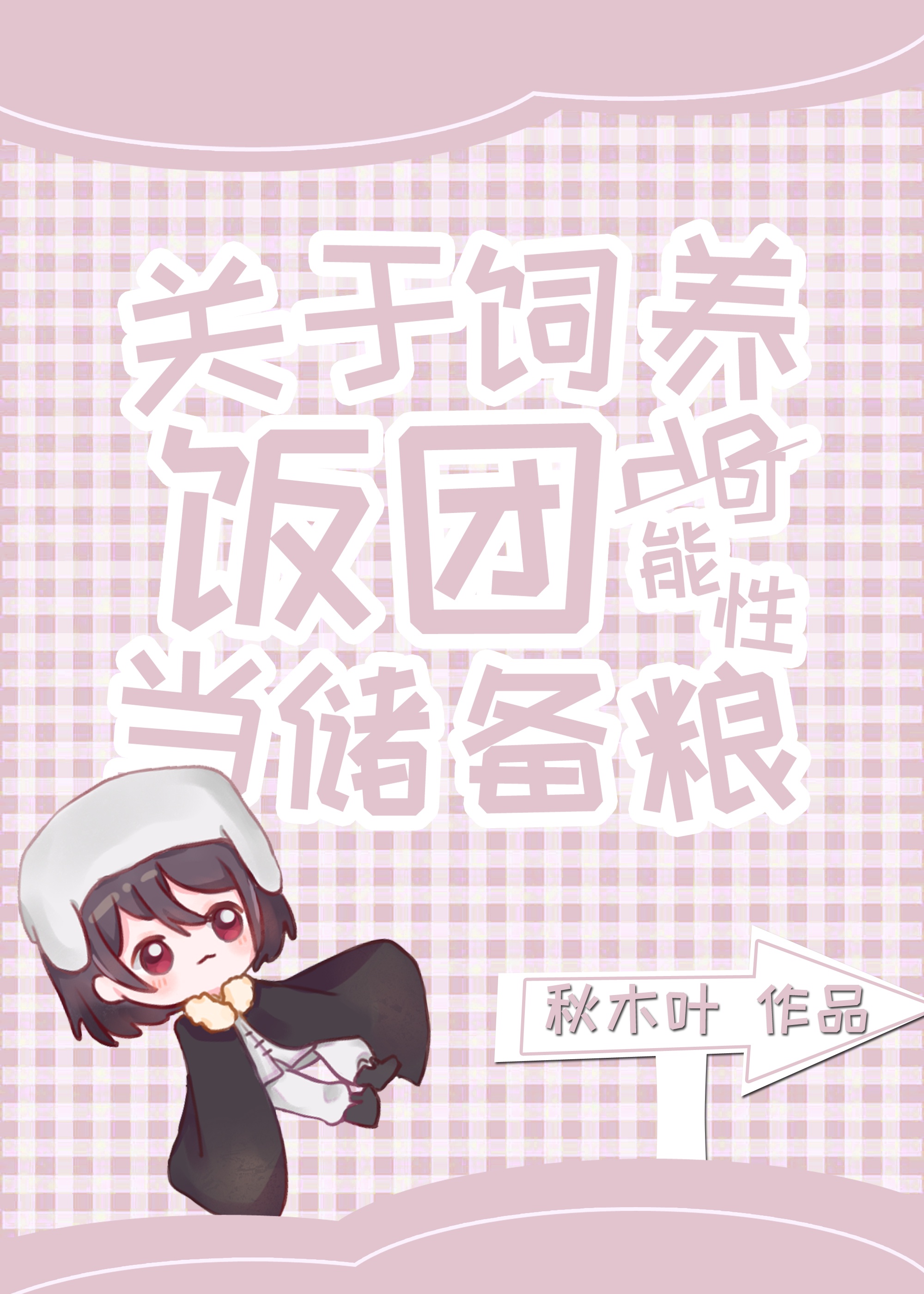 乡村女教师小说