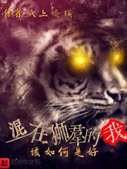 500导航收录精品