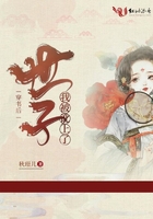 璐璐皮肤