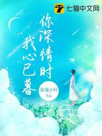 c92本子