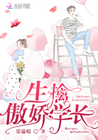杨家将1985杨泽霖版