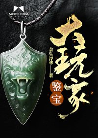 艾达王本子