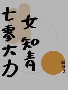 驻京办主任2