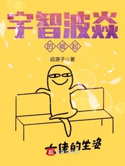 想插