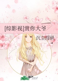 少年派1电视剧全集免费观看高清
