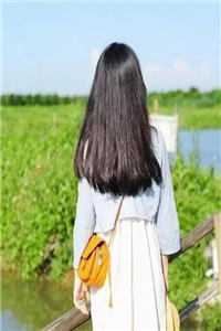 家庭乱来小说