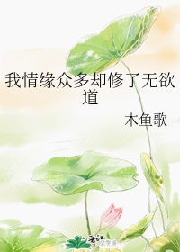 红豆视频在线观看日本动漫