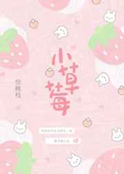 优质攻略系统沈芙小说笔趣阁