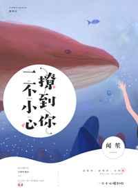 月圆之夜电脑版官网