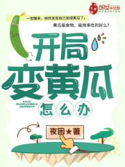 美女视频黄a全部