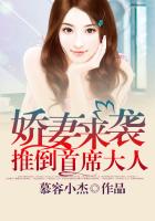 我的老千生涯 紫襟 mp3