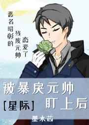 写的特别细的PO1VN