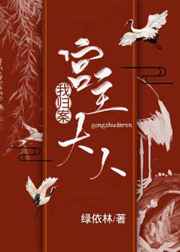 岁月神偷粤语