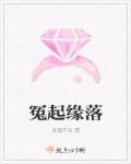 延禧攻略原著