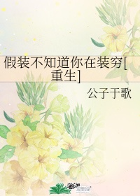 阿宾正传全文原文阅读
