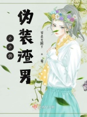 盛夏晚晴天之美女如云小说
