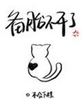 康县吧
