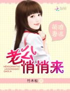 快穿撩撩撩:boss都想独占我