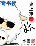 成网人图片小说综合网