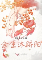 插入逼