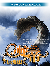 灵域第五季