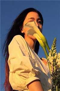 都市之纵意花丛