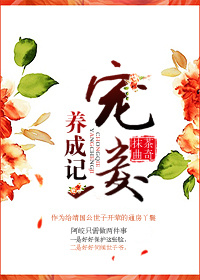 勇闯16街区