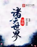 喵咪网