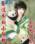 总裁的33天索情全txt