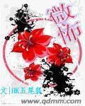 反派的宠妹日常穿书