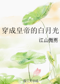 六度电影达达兔电影