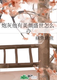 不曾与你遇见