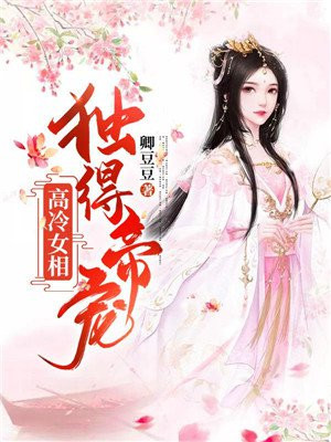 黑白灰姑娘的小说